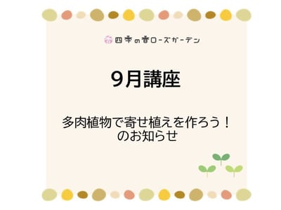【9月講座】多肉植物で寄せ植えを作ろう！