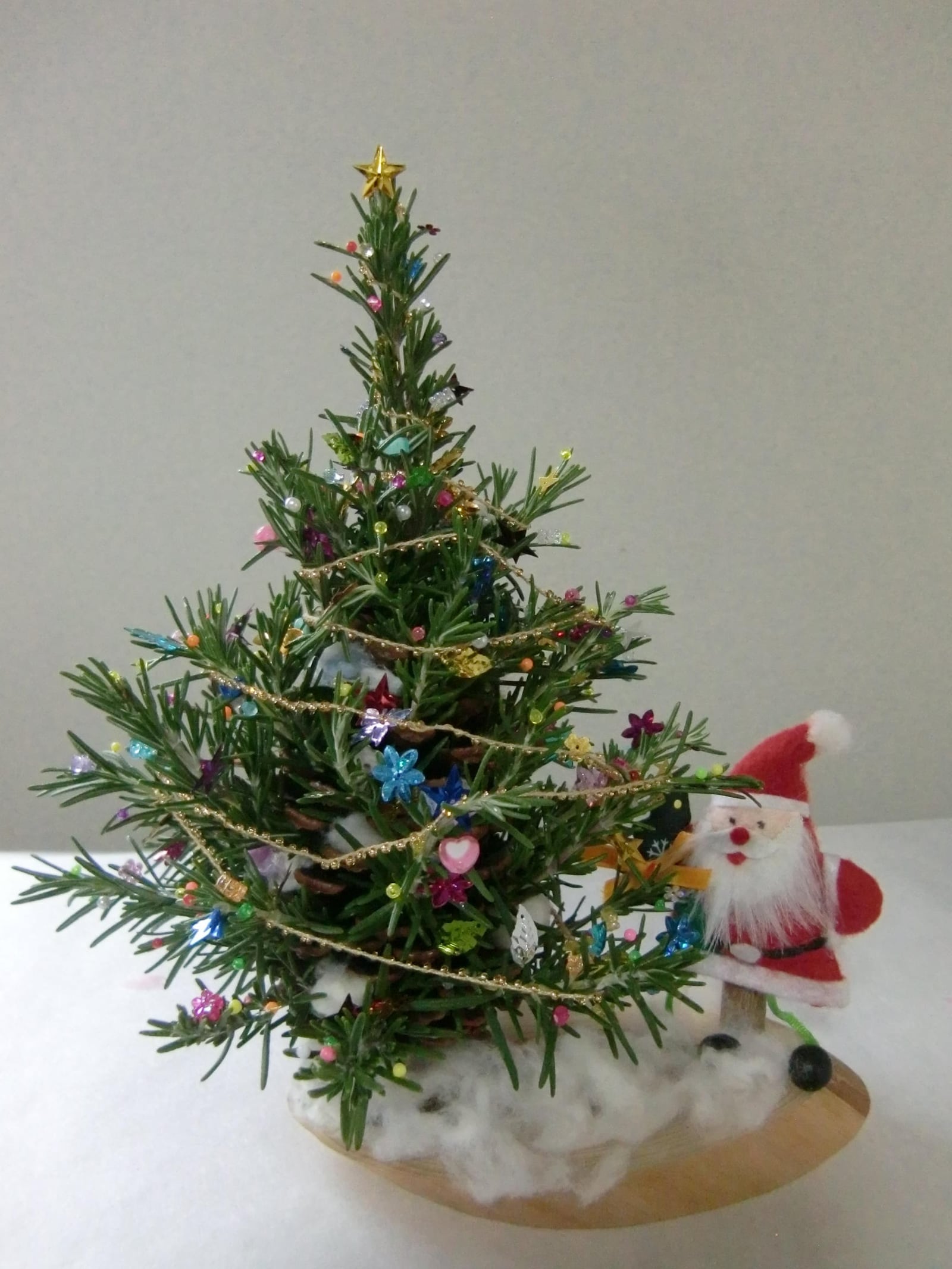 ハーブ講座「松ぼっくりを使ったミニクリスマスツリーづくり」