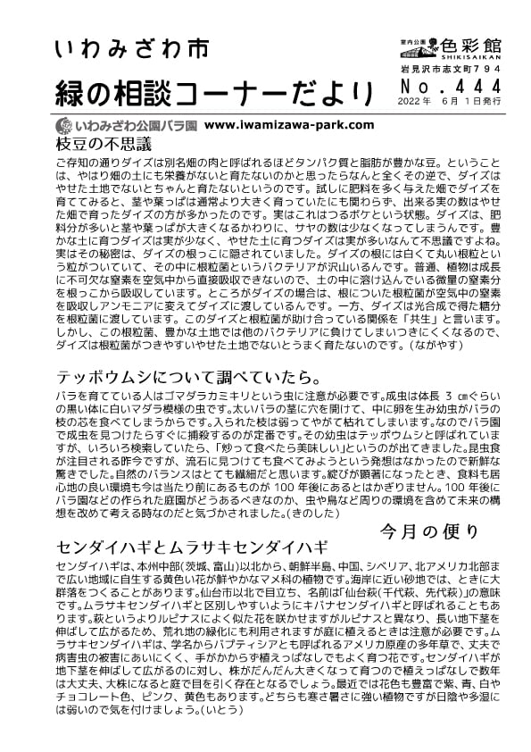 盆栽づくりの楽しさ