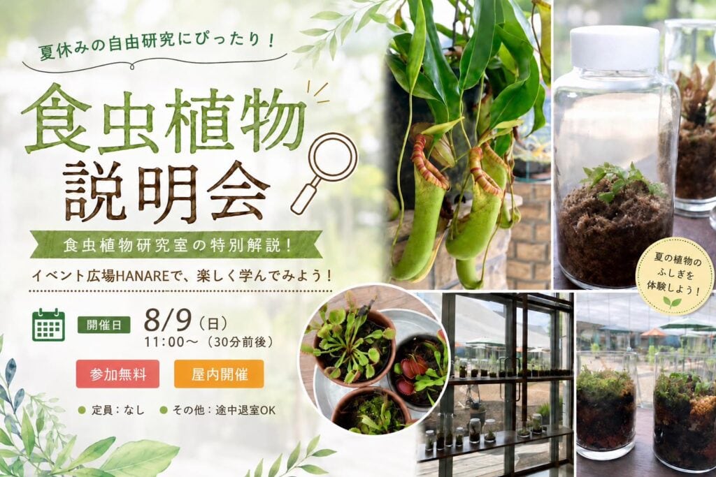 食虫植物説明会