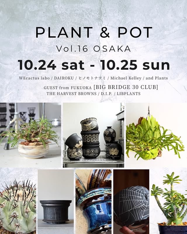 PLANT & POT Vol.16