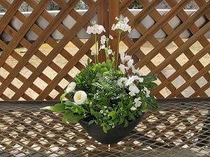 2月の寄せ植え教室