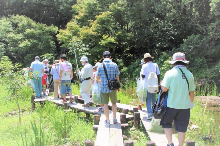 「植物観察と標本作り」