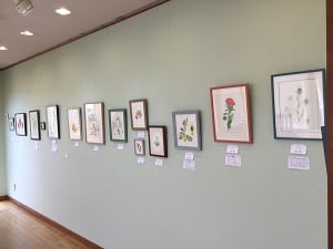 第3室展示「ボタニカルアート展」
