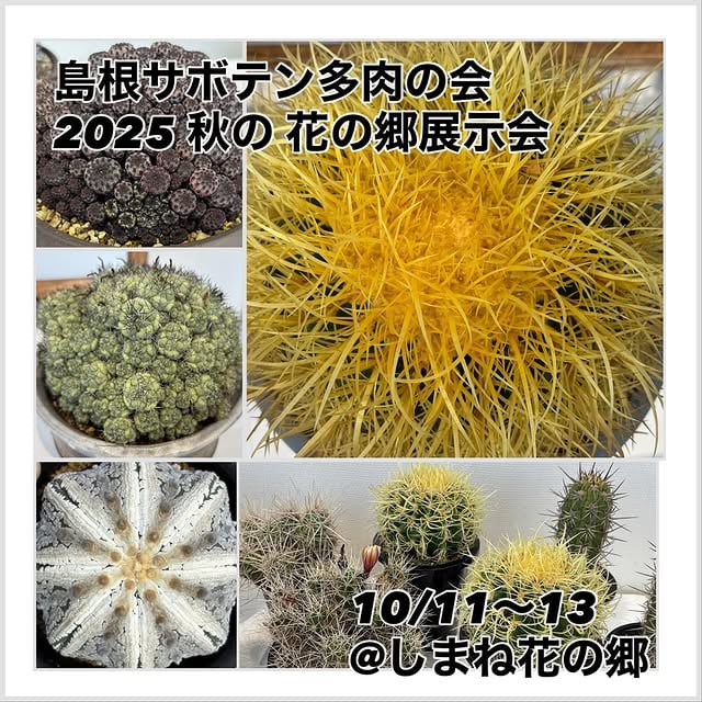 島根サボテン・多肉の会 2025 秋の 花の郷展示会