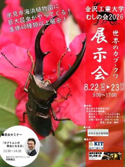 金沢工業大学むしの会 世界のカブ・クワ展示会