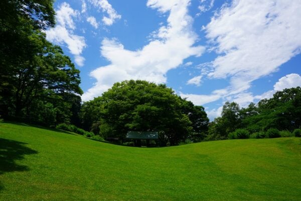 令和8年 5/24(日)「みんなで染めよう!野染め」