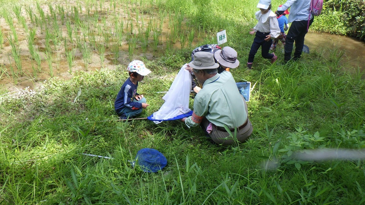 里山自然観察会「田んぼの生きもの探検隊 夏編」