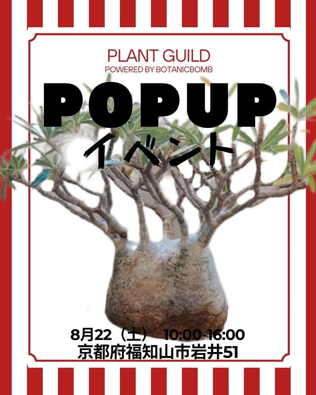 PLANT GUILD