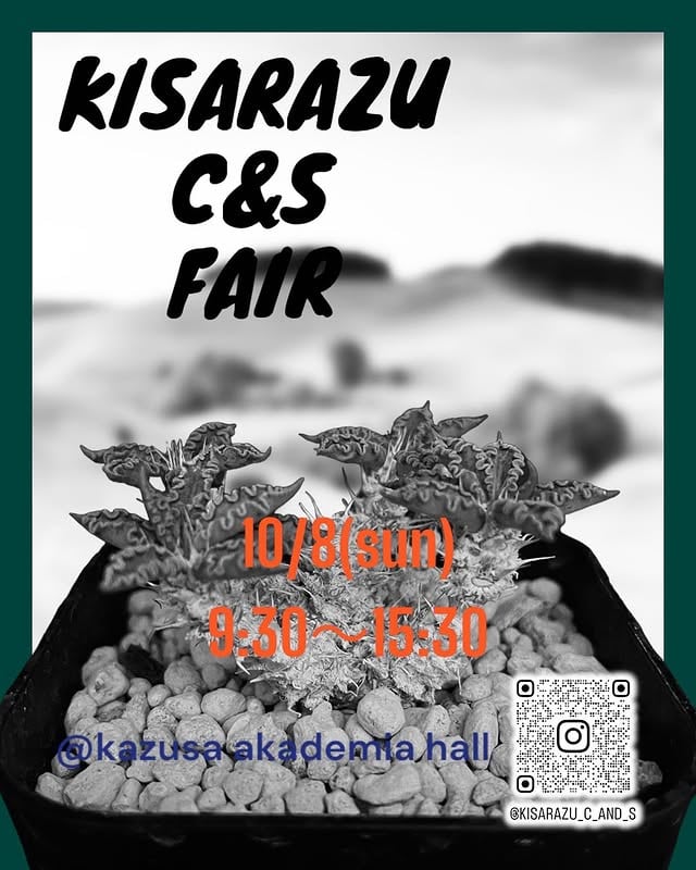KISARAZU C&S FAIR