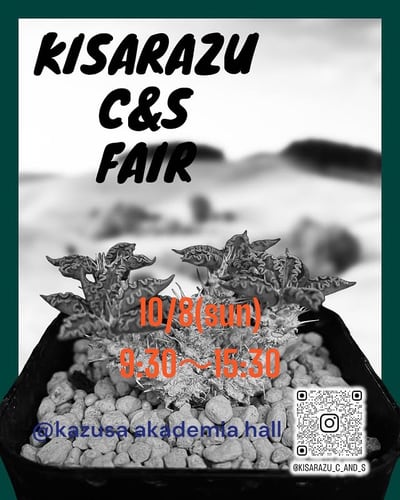 KISARAZU C&S FAIR