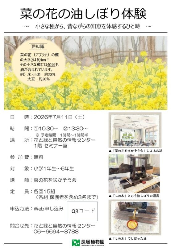 菜の花の油しぼり体験