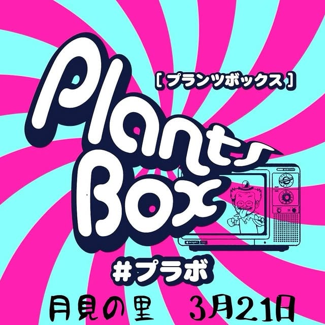 plants box
