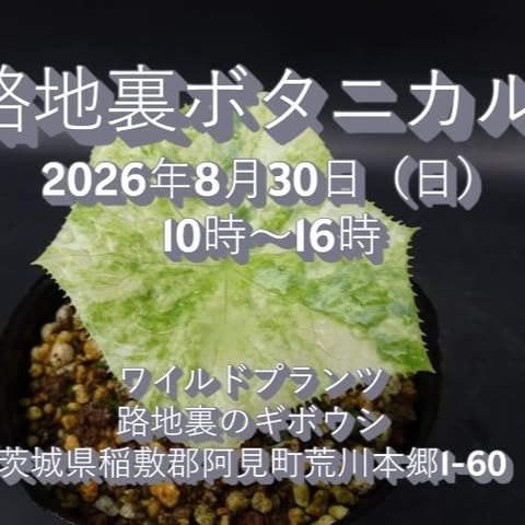 路地裏ボタニカル