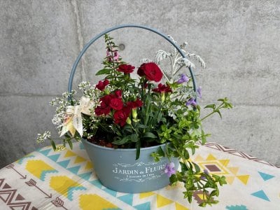 【予約完売】母の日に贈る花束のような寄せ植え | 予約制