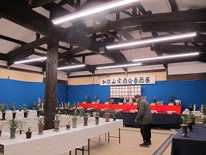 第59回 春らん展