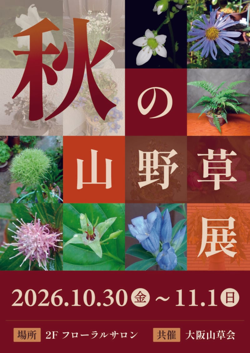 秋の山野草展（咲くやこの花館）｜2026年10月30日-11月1日 | NextMeet