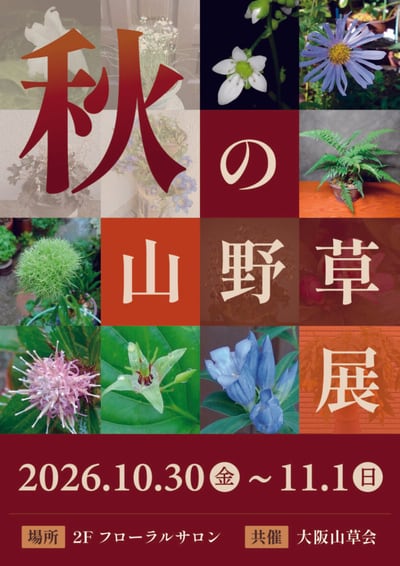 秋の山野草展