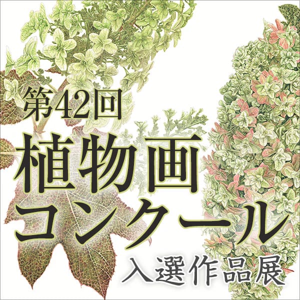 第42回植物画コンクール入選作品展