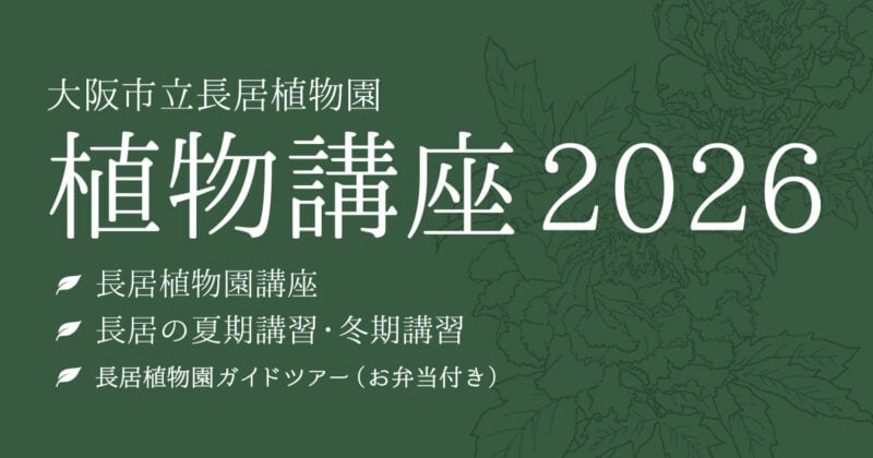 長居の夏期講習 花粉の送粉形式の違いについて