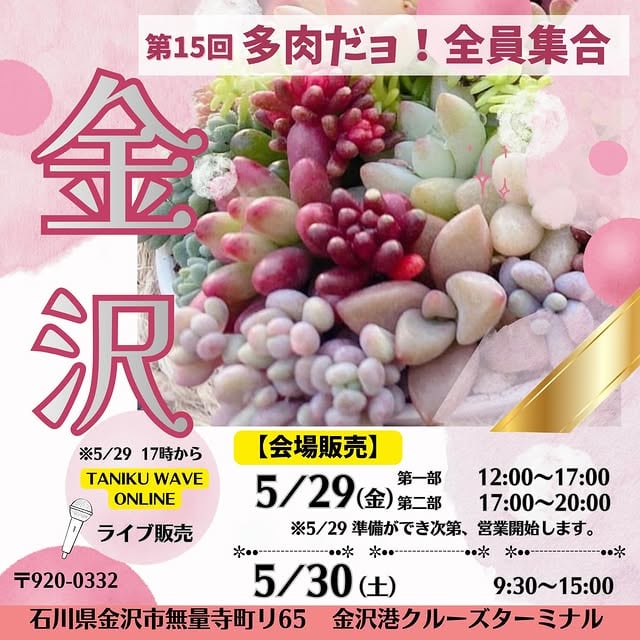 第15回 多肉だヨ!全員集合