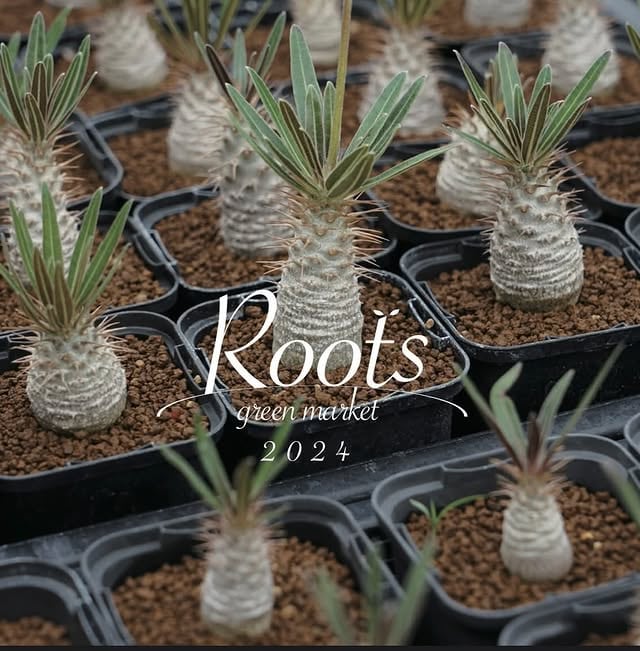 rootsgreenmarket