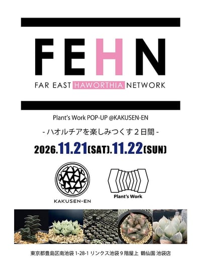 FEHN