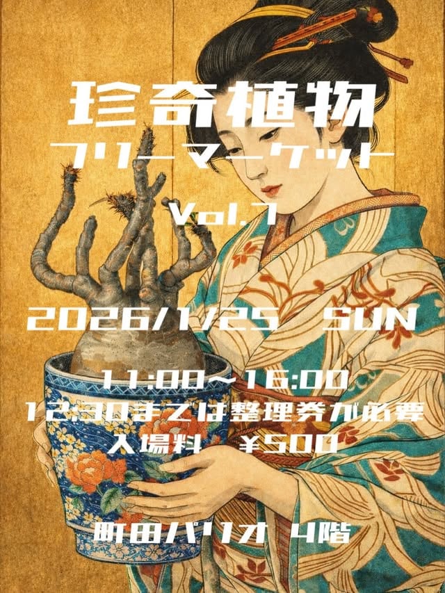 珍奇植物フリーマーケット vol7