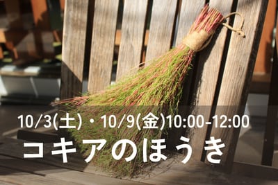 コキアのほうき作り