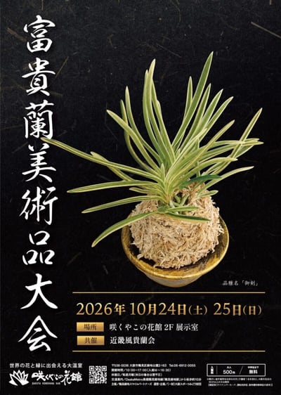 富貴蘭美術品大会