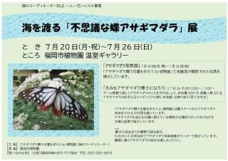 海を渡る「不思議な蝶アサギマダラ」展