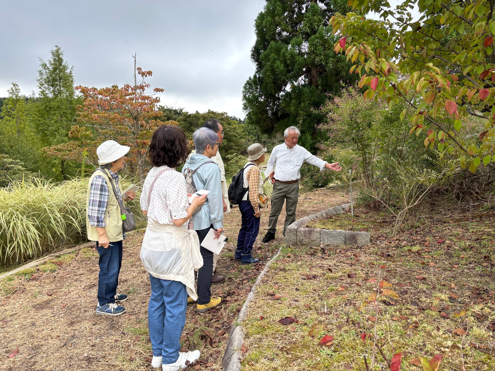 花と緑の教室「園内解説walk~秋の雑草を探しに行こう!~」