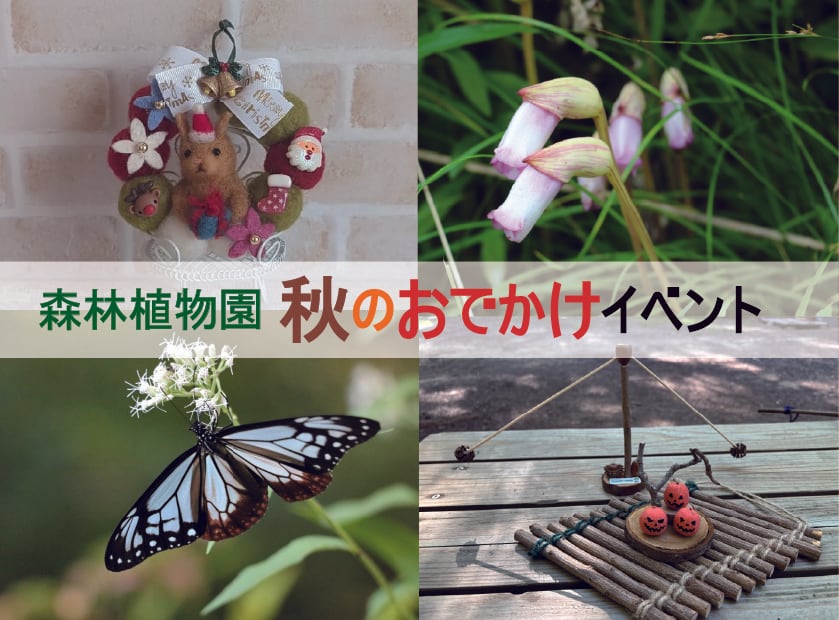 森林植物園 秋のおでかけイベント開催!!