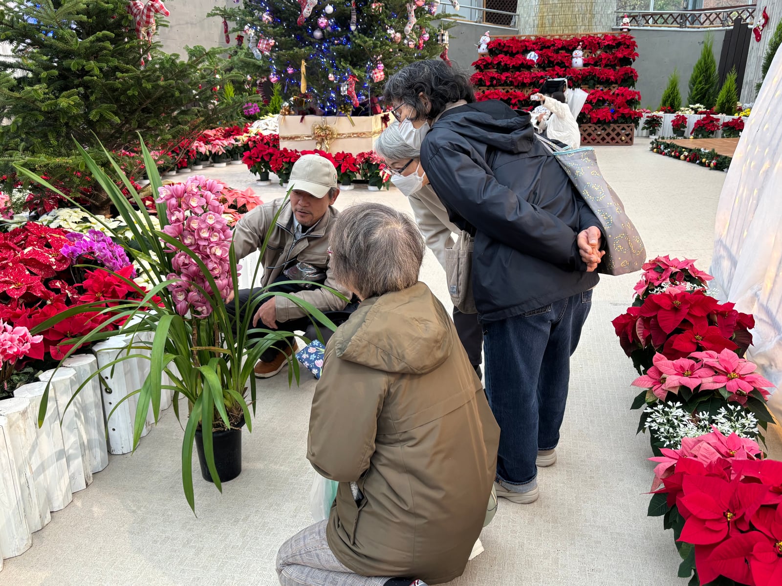 花と緑の教室「園内解説walk~冬に色づく植物たちをみにいこう!~」