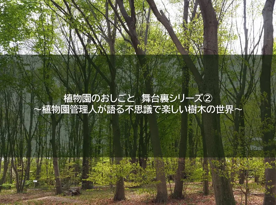 植物園のおしごと 舞台裏シリーズ② ~植物園管理人が語る不思議で楽しい樹木の世界~