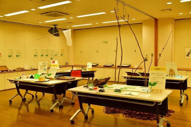 自然観察と標本展