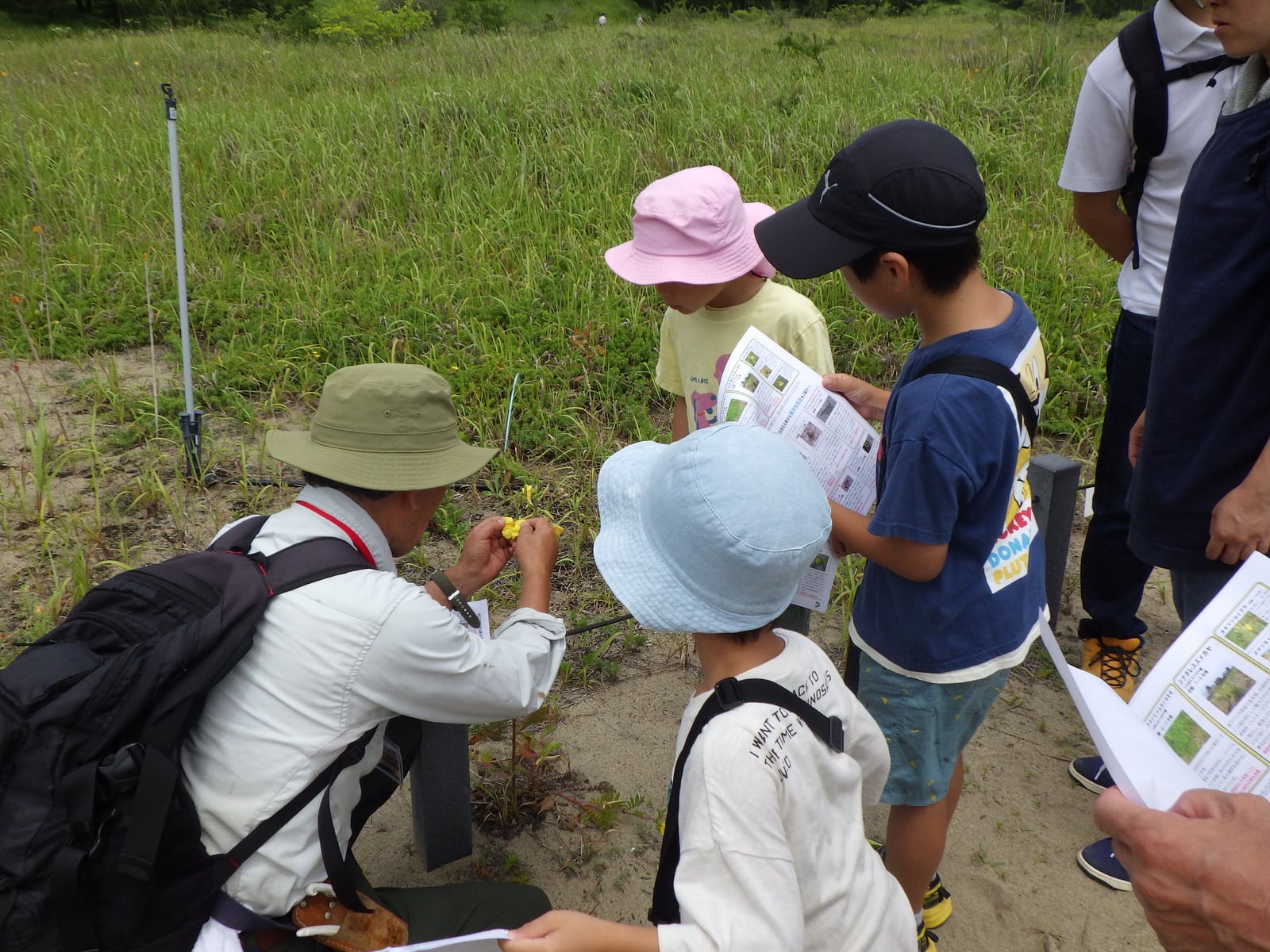 身近な外来植物について学ぼう