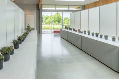 サボテン・多肉観葉植物展示会