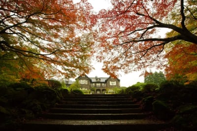 「紅葉とバラ、和と洋の秋」のお知らせ 11月11日（土）～12月3日（日）_01