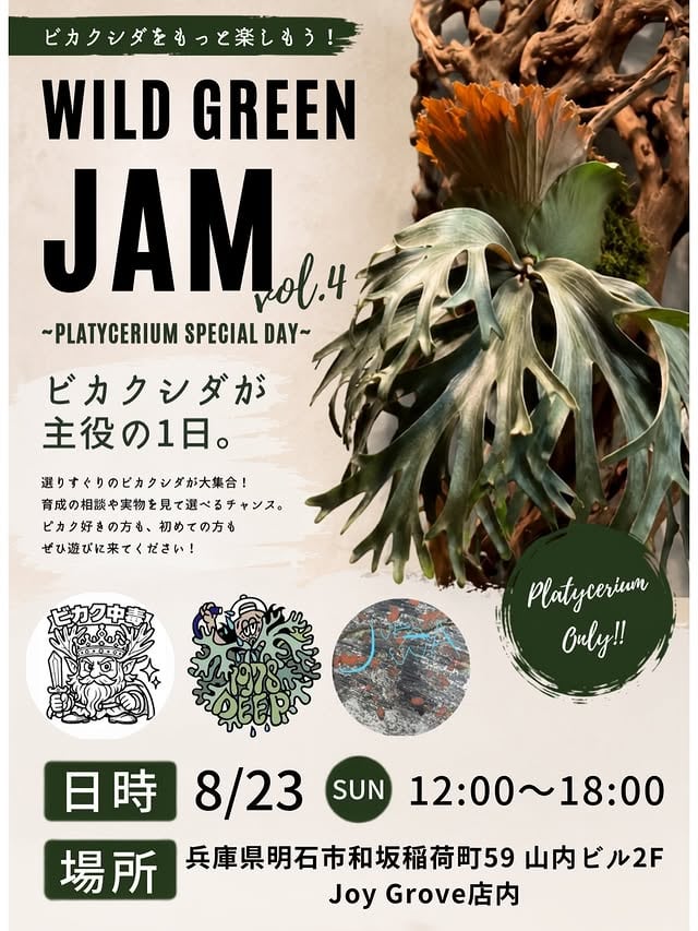 WILD GREEN JAM vol.4 〜PLATYCERIUM SPECIAL DAY〜