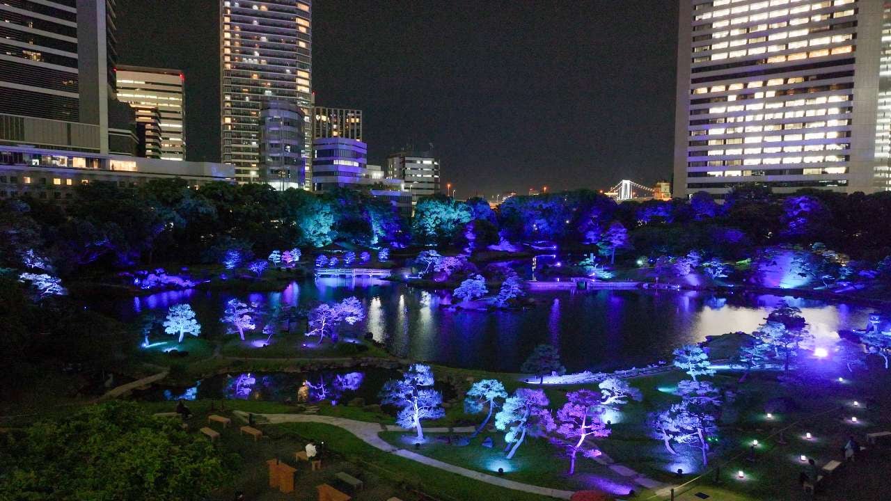 旧芝離宮夜会2026(ライトアップショー)