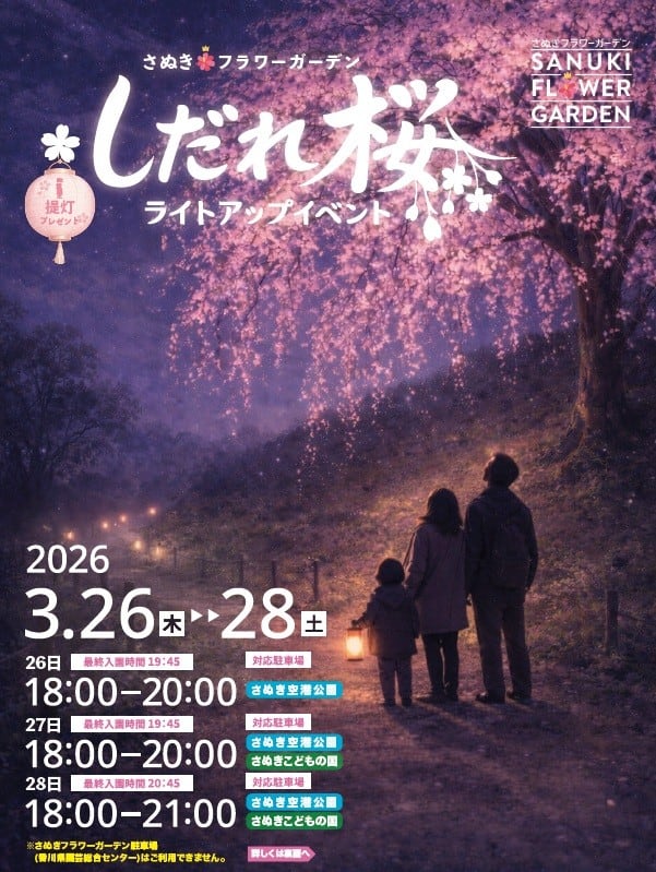 チラシ