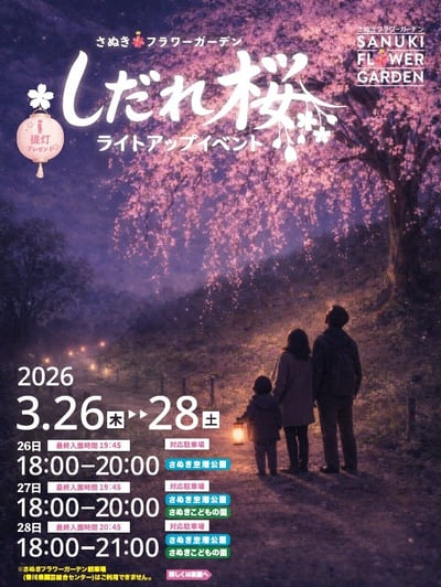 チラシ