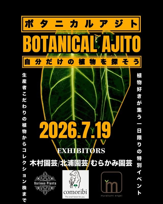 BOTANICAL AJITO