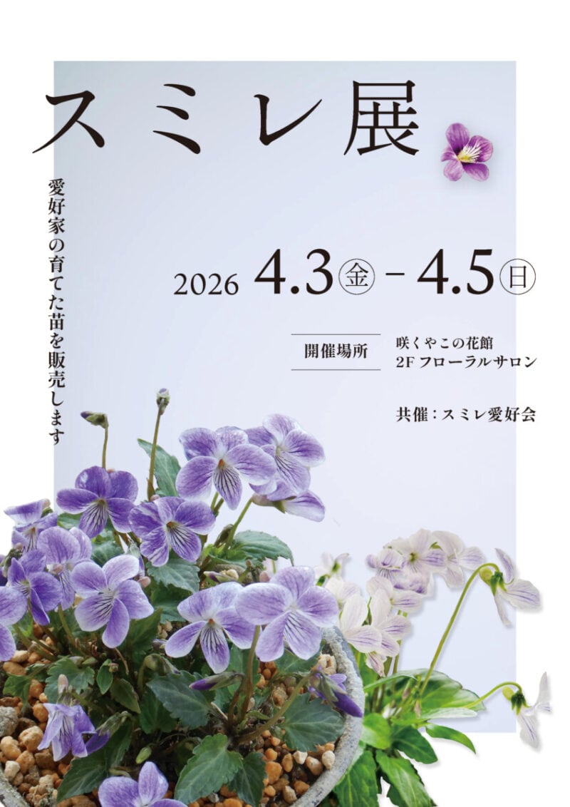 スミレ展