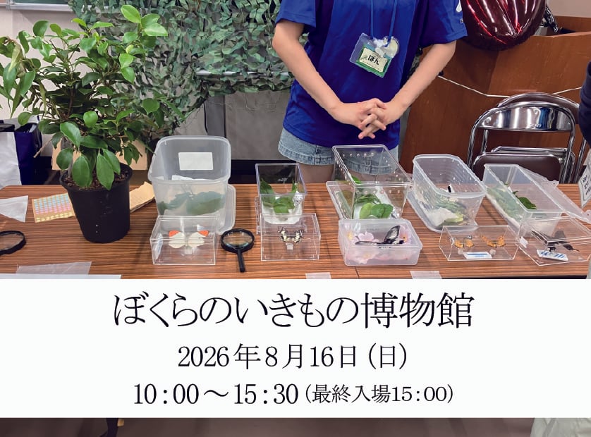 ぼくらのいきもの博物館